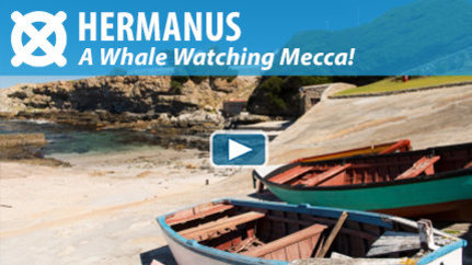 WATCH THE VIDEO: Welcome to Hermanus